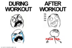 During Workout and After Workout